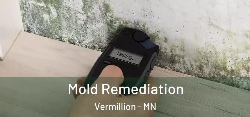  Mold Remediation Vermillion - MN