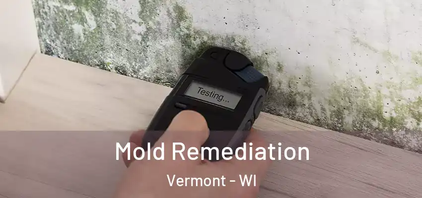 Mold Remediation Vermont - WI