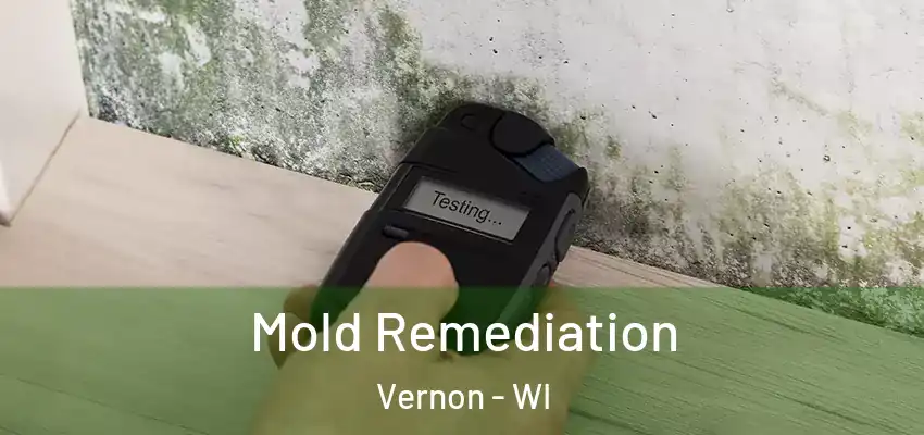  Mold Remediation Vernon - WI