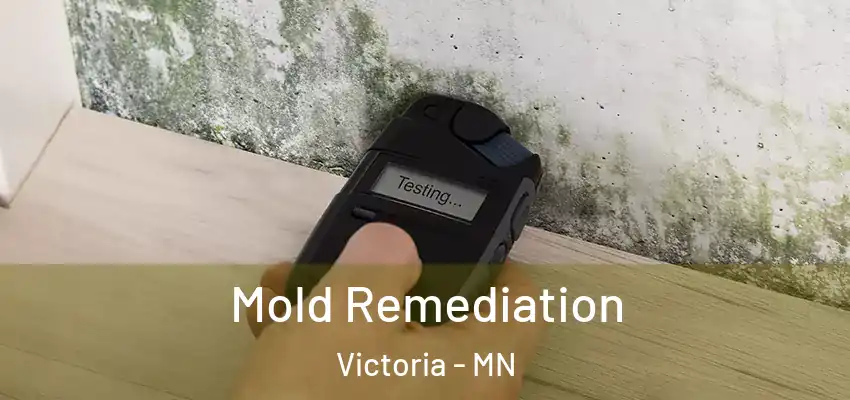  Mold Remediation Victoria - MN