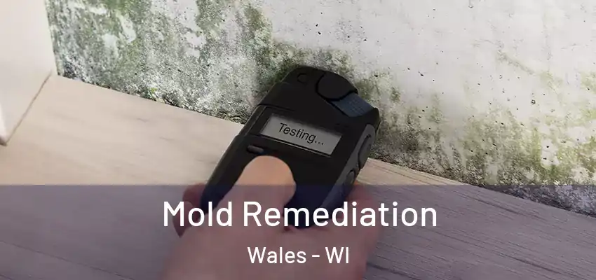  Mold Remediation Wales - WI