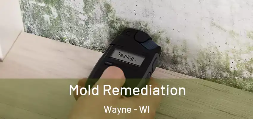  Mold Remediation Wayne - WI