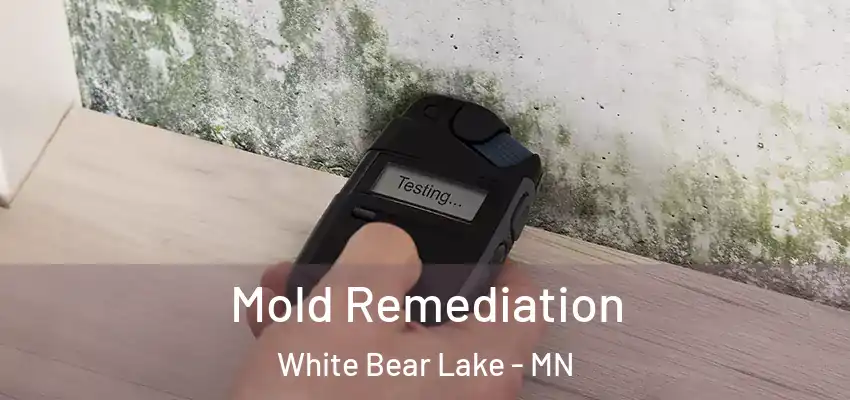  Mold Remediation White Bear Lake - MN
