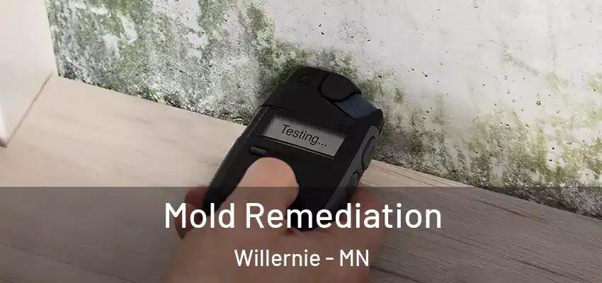  Mold Remediation Willernie - MN