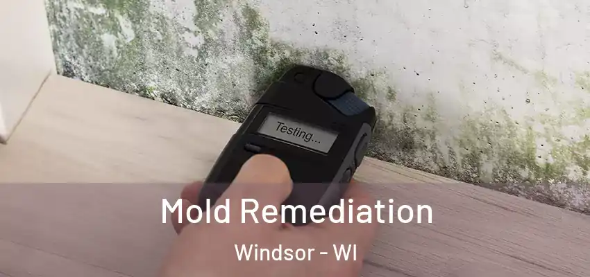  Mold Remediation Windsor - WI