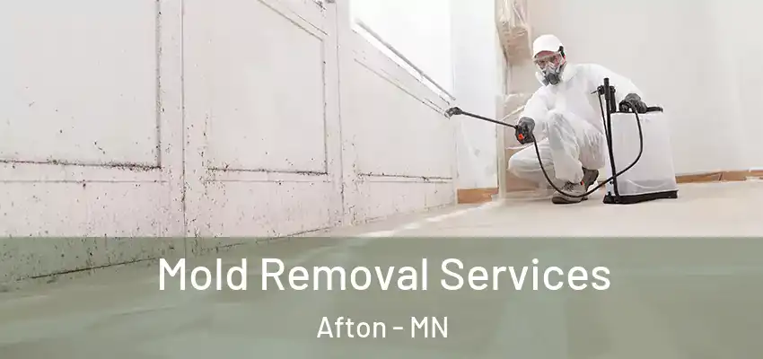  Mold Removal Services Afton - MN