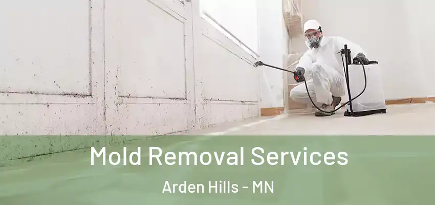Mold Removal Services Arden Hills - MN
