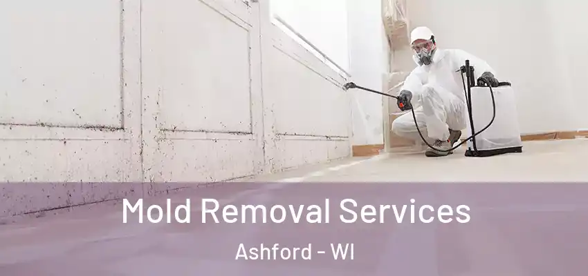  Mold Removal Services Ashford - WI