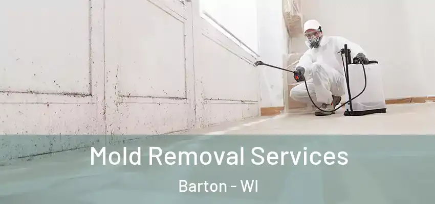  Mold Removal Services Barton - WI