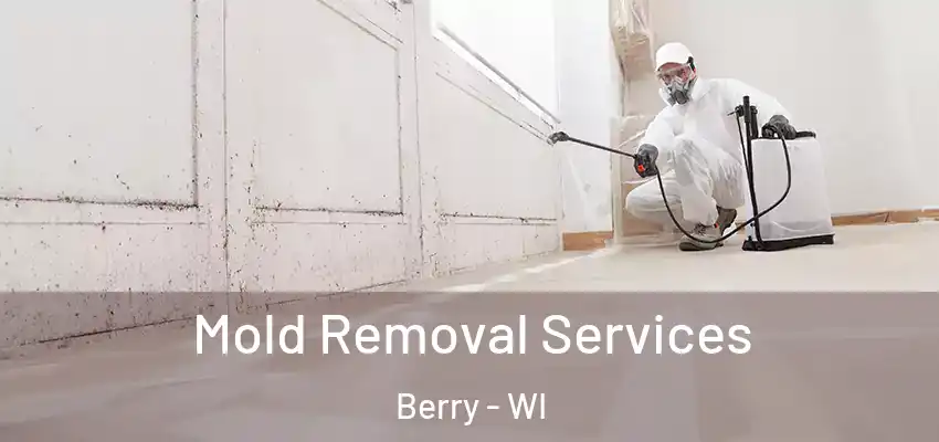  Mold Removal Services Berry - WI