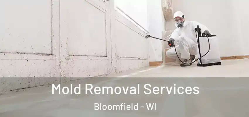 Mold Removal Services Bloomfield - WI