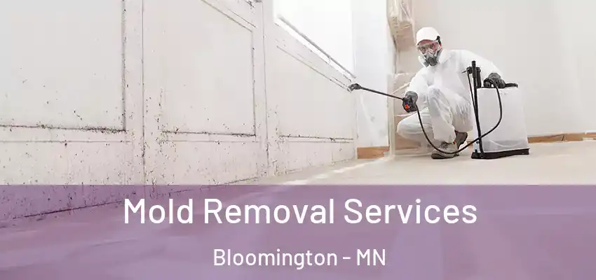 Mold Removal Services Bloomington - MN