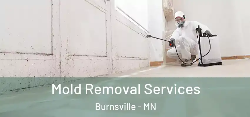  Mold Removal Services Burnsville - MN
