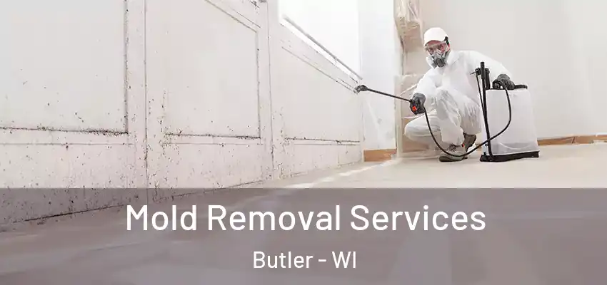  Mold Removal Services Butler - WI