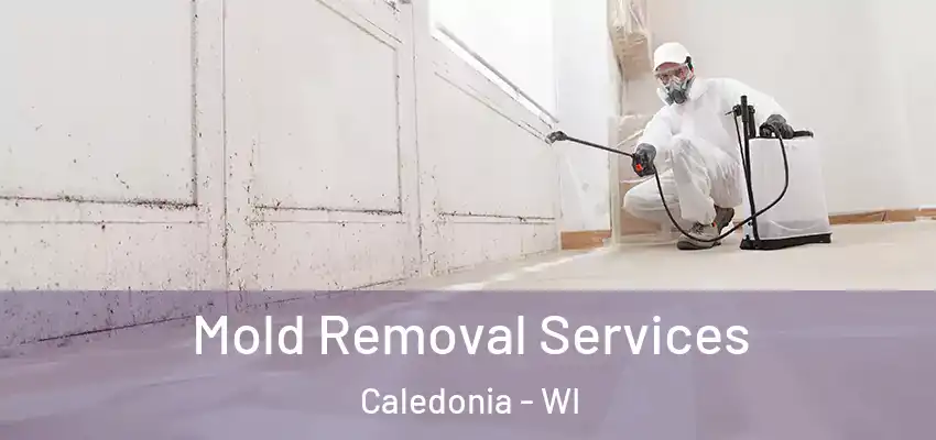  Mold Removal Services Caledonia - WI