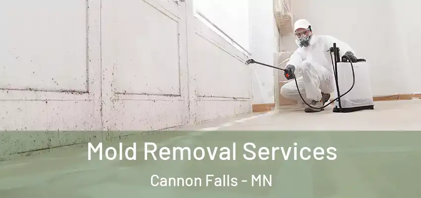 Mold Removal Services Cannon Falls - MN