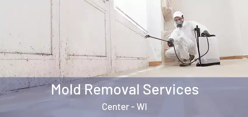  Mold Removal Services Center - WI