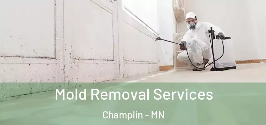  Mold Removal Services Champlin - MN
