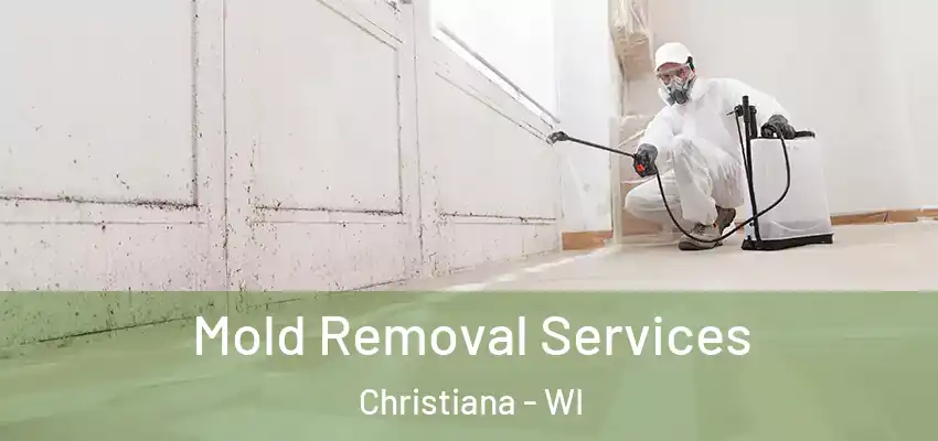 Mold Removal Services Christiana - WI