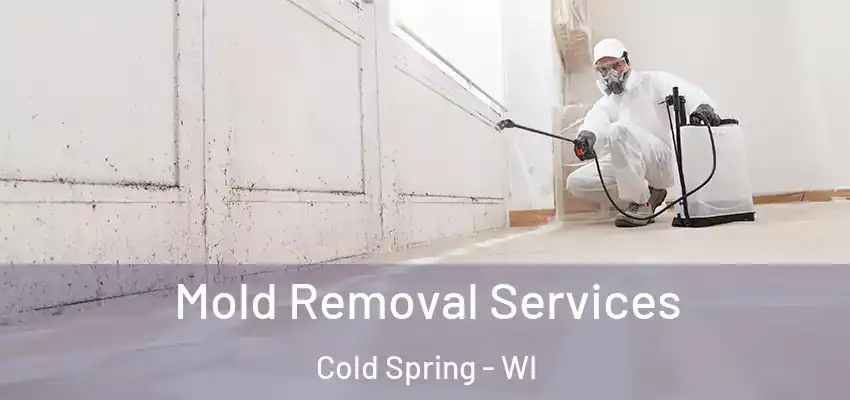  Mold Removal Services Cold Spring - WI