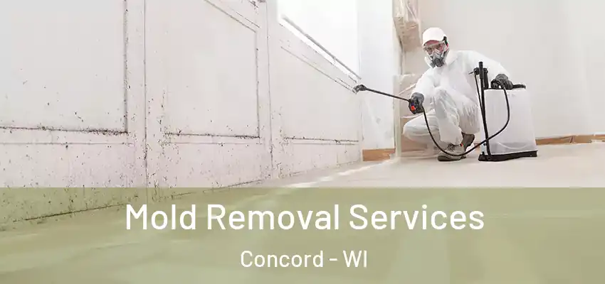  Mold Removal Services Concord - WI