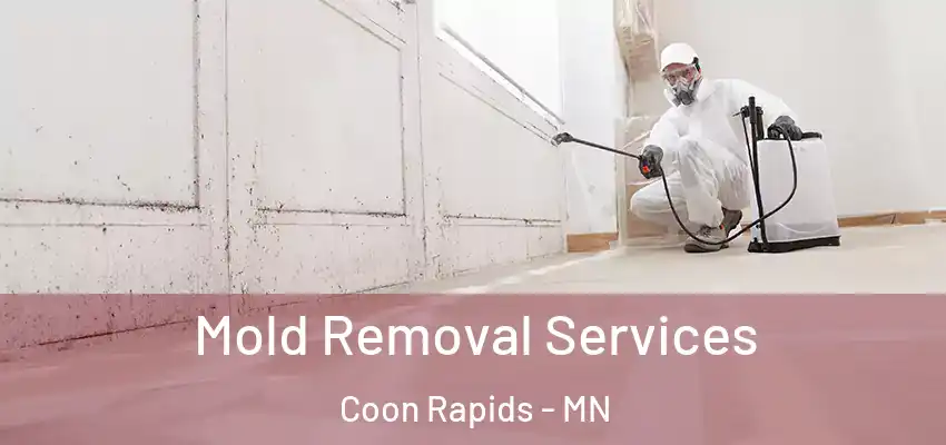  Mold Removal Services Coon Rapids - MN