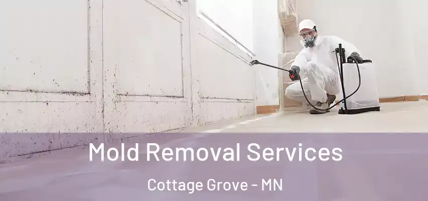 Mold Removal Services Cottage Grove - MN