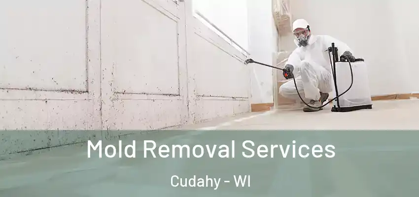  Mold Removal Services Cudahy - WI