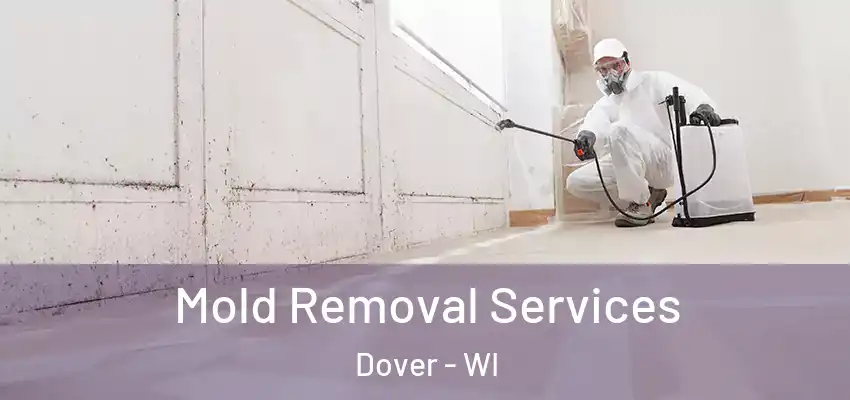  Mold Removal Services Dover - WI