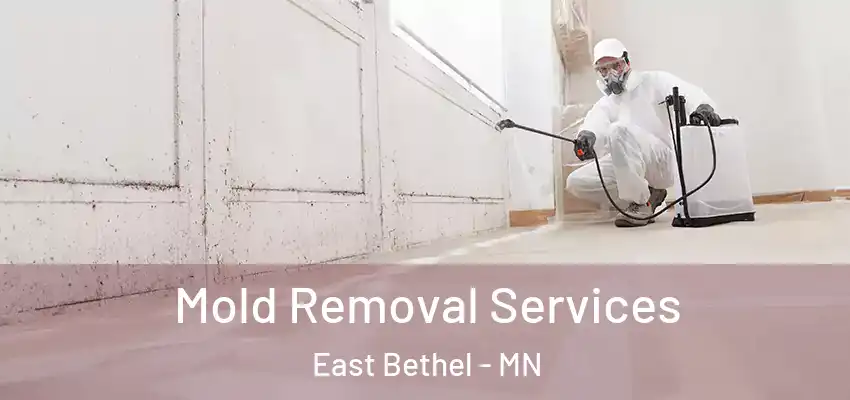  Mold Removal Services East Bethel - MN