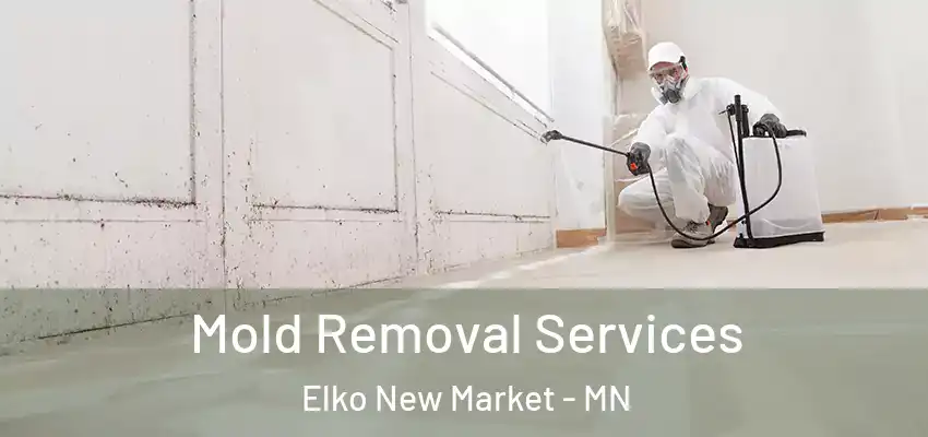  Mold Removal Services Elko New Market - MN