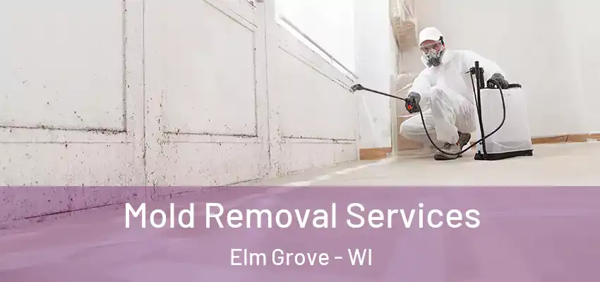  Mold Removal Services Elm Grove - WI