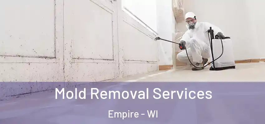 Mold Removal Services Empire - WI