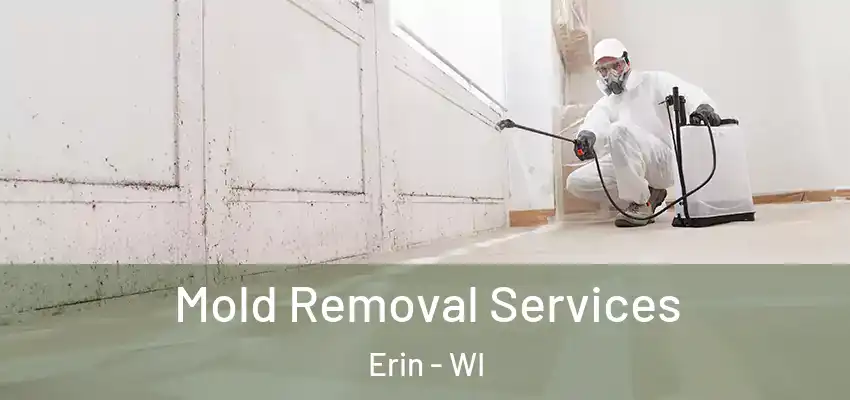 Mold Removal Services Erin - WI