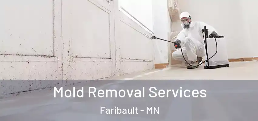 Mold Removal Services Faribault - MN