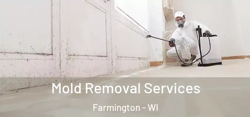  Mold Removal Services Farmington - WI