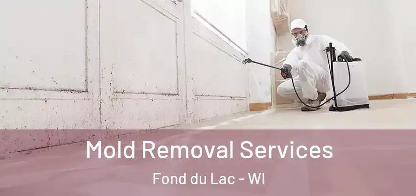  Mold Removal Services Fond du Lac - WI