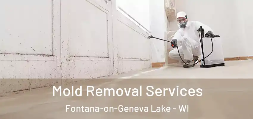  Mold Removal Services Fontana-on-Geneva Lake - WI