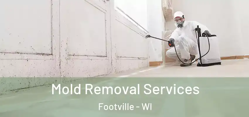 Mold Removal Services Footville - WI