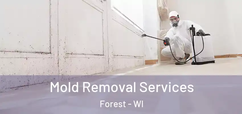  Mold Removal Services Forest - WI
