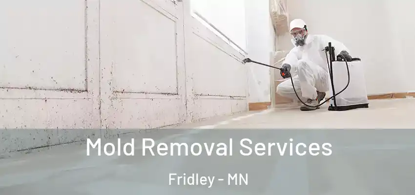  Mold Removal Services Fridley - MN