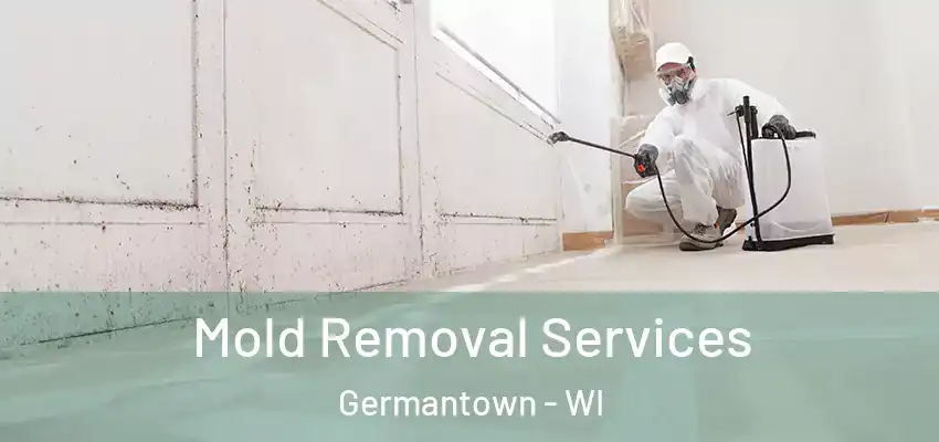 Mold Removal Services Germantown - WI