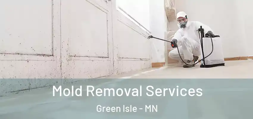  Mold Removal Services Green Isle - MN