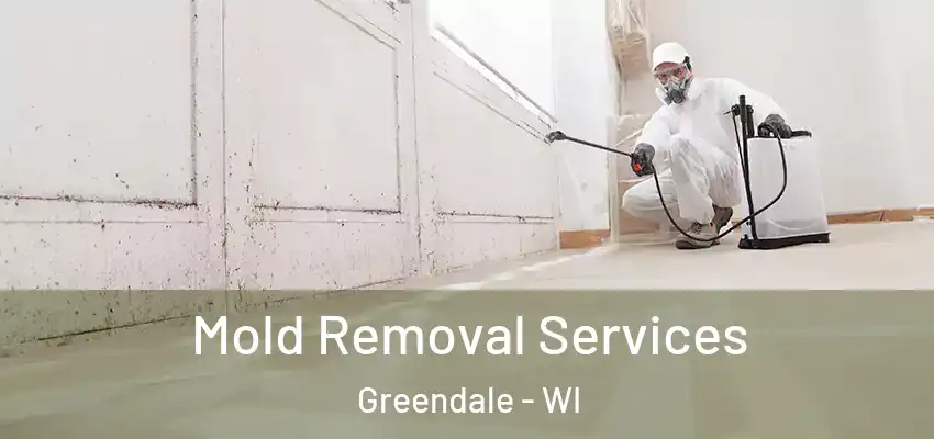 Mold Removal Services Greendale - WI