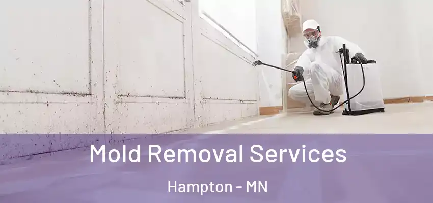 Mold Removal Services Hampton - MN