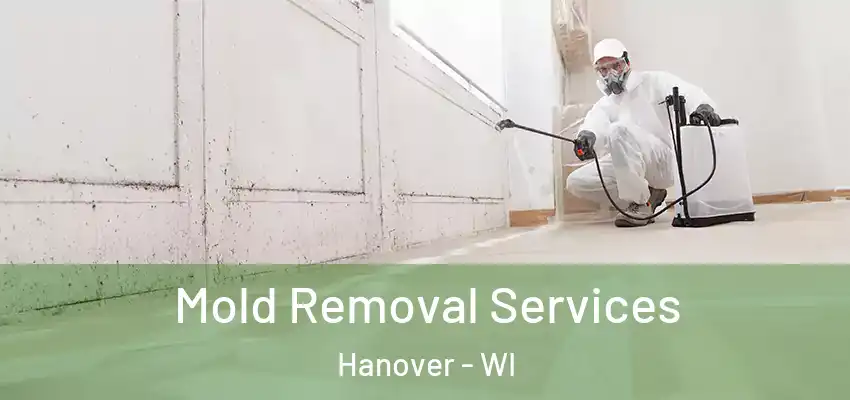  Mold Removal Services Hanover - WI
