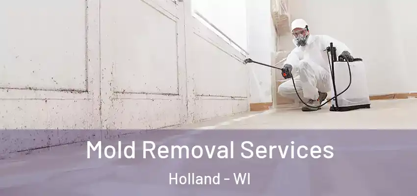  Mold Removal Services Holland - WI