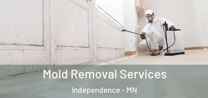 Mold Removal Services Independence - MN