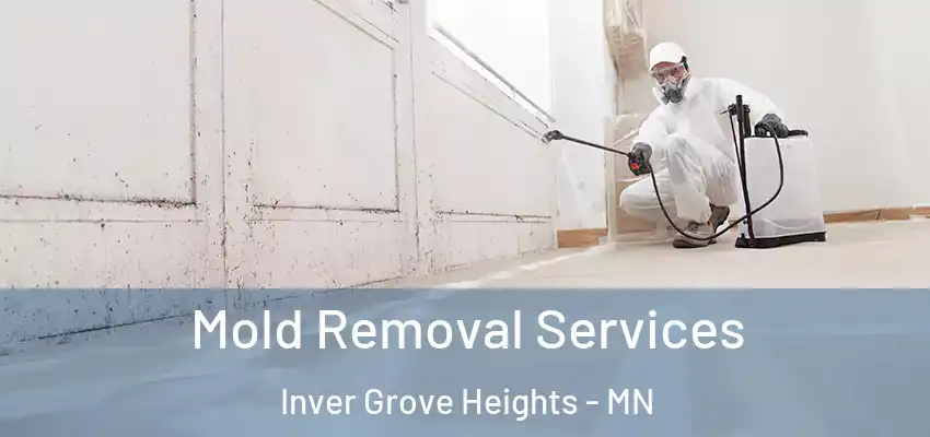  Mold Removal Services Inver Grove Heights - MN
