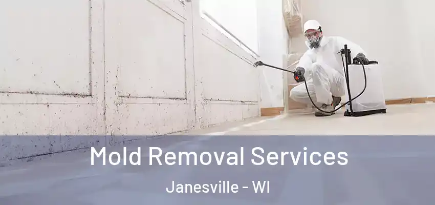Mold Removal Services Janesville - WI